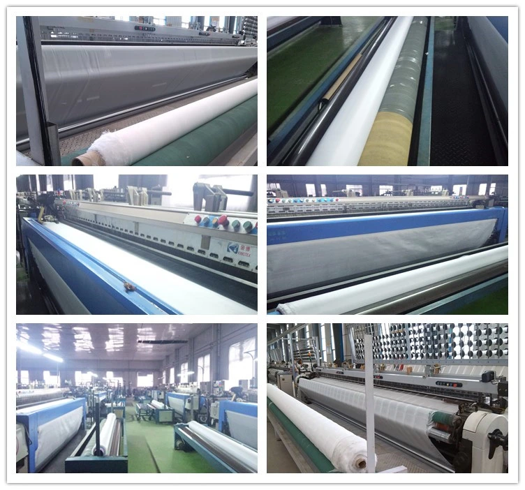 tissu tissé de haute résistance de géotextile d'animal familier de 320g 150-50kn