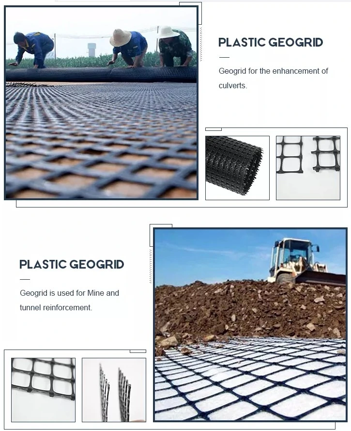  HDPE uniaxial biaxiale de haute qualité pp des prix de Geogrid