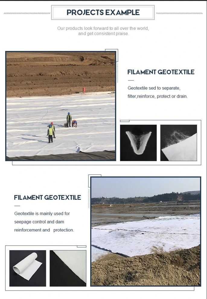 Tissu non-tissé de géotextile de géotextile de polyester