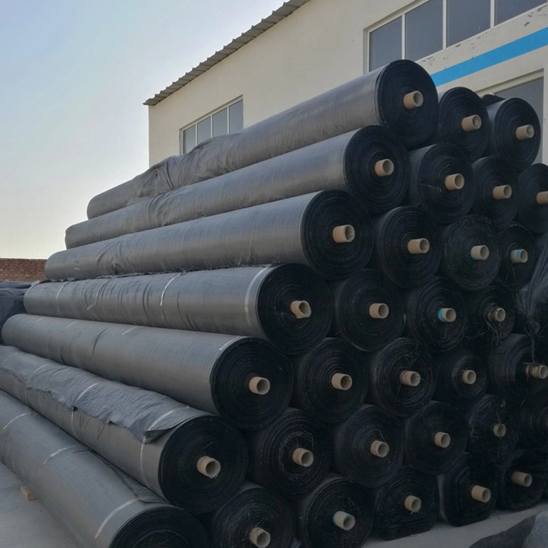  Géotextile tissé par pp certifié de stabilisation de textile tissé pour le renfort de sol