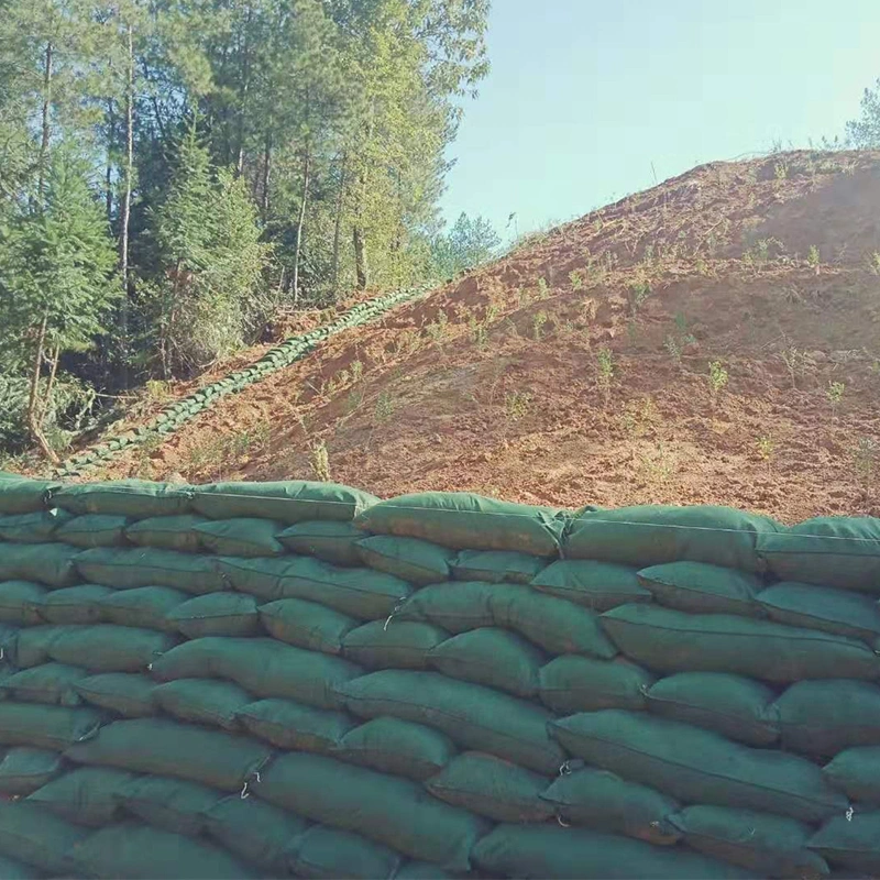 Protection des digues Geo-sacs géotextiles non tissés pour le renforcement des sous-sols 1