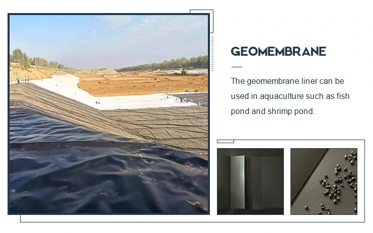Géomembrane en HDPE imperméable à l'eau et à l'eau pour décharges 5