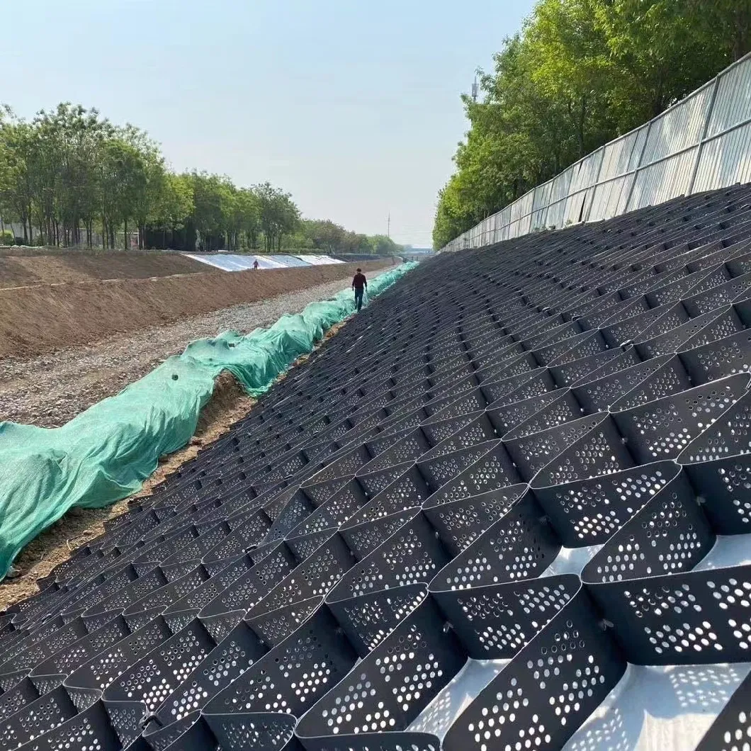 Géocelle en HDPE de haute résistance de 50 mm pour la protection des pentes des routes 3