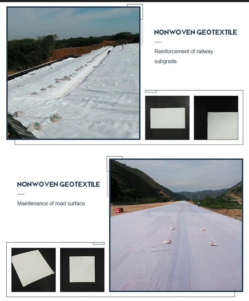 Construction routière Tissus non tissés Géotextile Géogrid Contrôle de l'érosion des sols 2