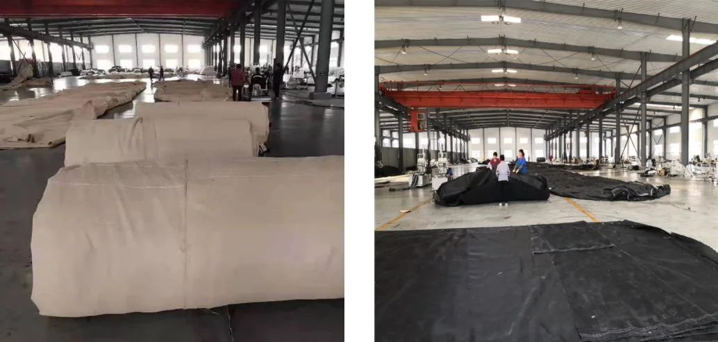Sacs géotextiles tissés en PP à haute résistance / géotube pour le traitement des eaux usées ou les projets de dragage en mer 3