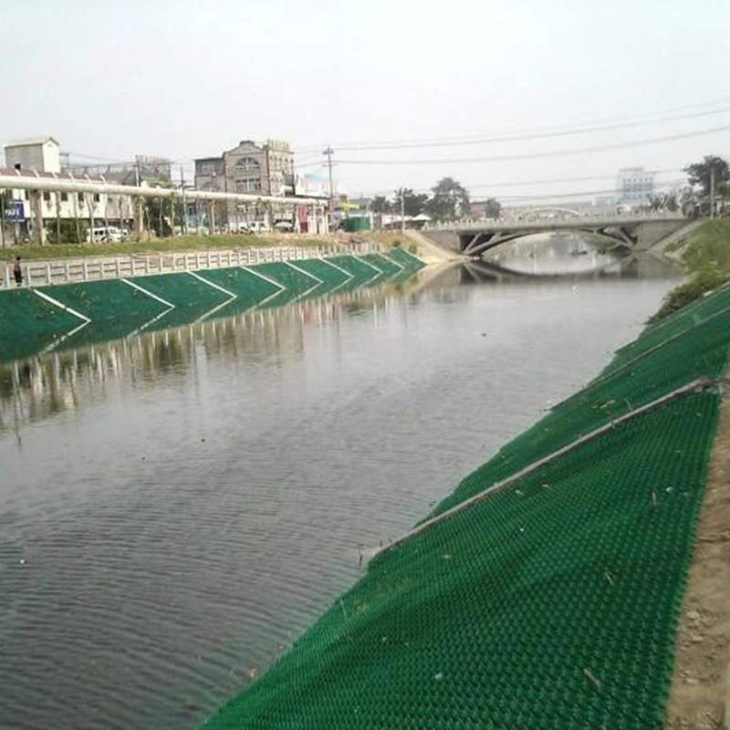 Parking Used Gravel Grass Grid HDPE Grass Paver Grid de route à roues 6
