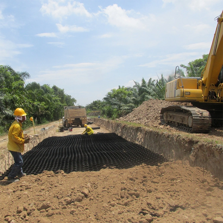 Réseau de terre en géocellule en plastique HDPE résistant à la corrosion utilisé dans la construction routière 5