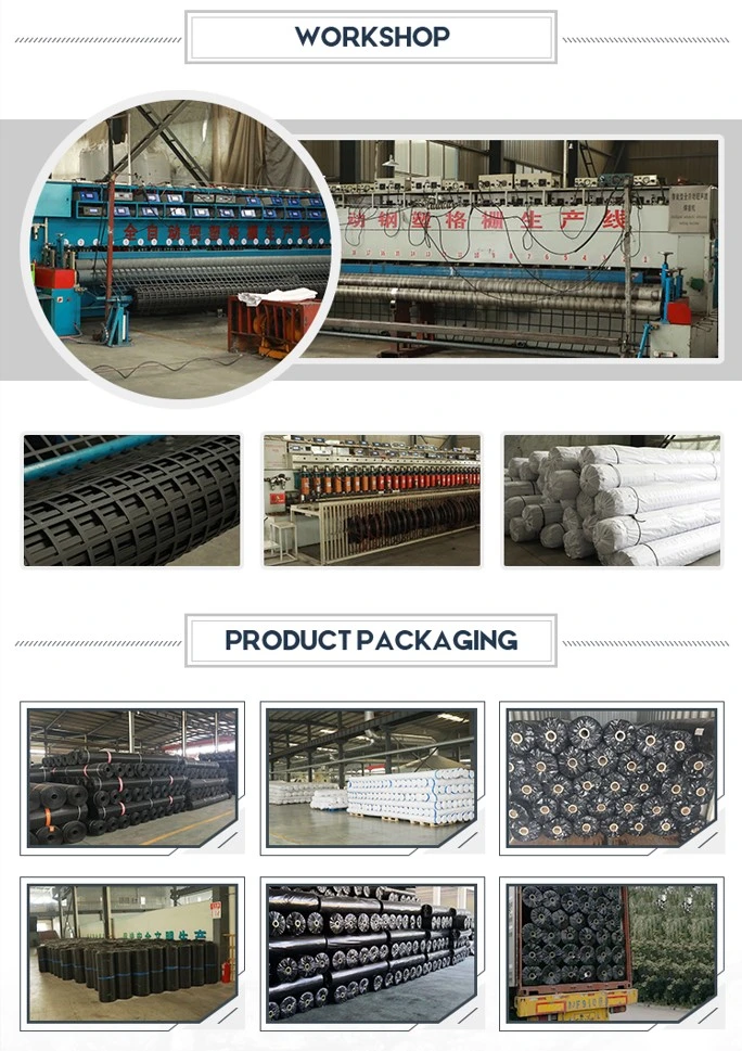 Réseau géographique en acier plastique pour la surface de gravier stabilisée et le réseau de renforcement 5