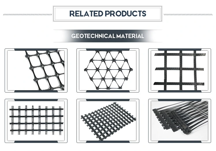 Réseau géographique en acier plastique pour la surface de gravier stabilisée et le réseau de renforcement 6