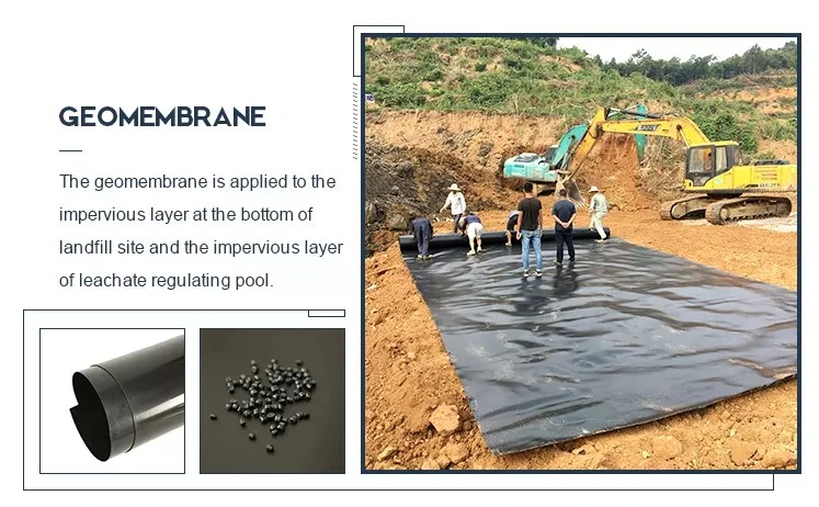 Géomembrane en polyéthylène à haute densité noire 4