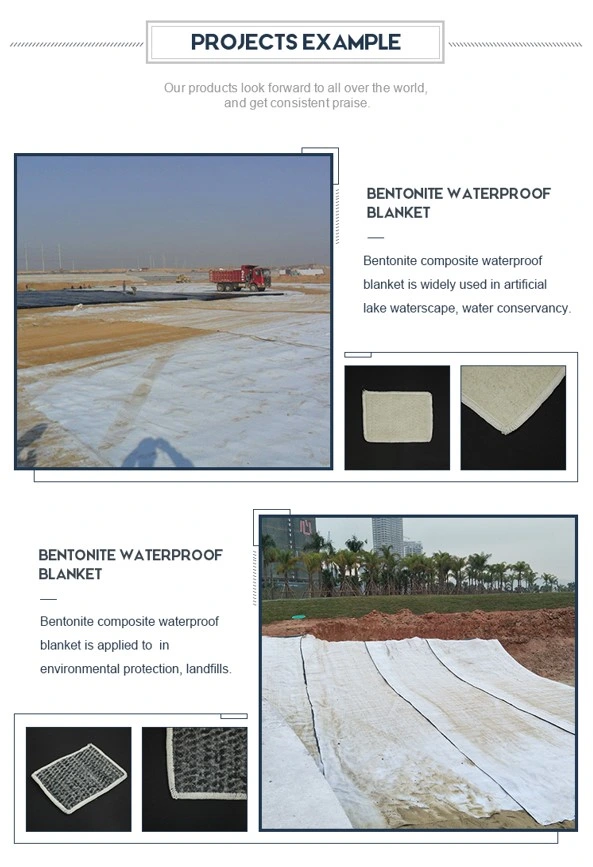 Liner à base de bentonite de sodium imperméable à l'eau Liner à base d'argile géosynthétique pour projet de décharge 4