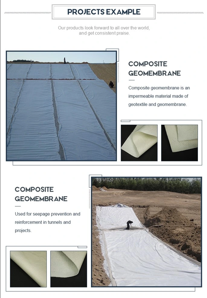 Liner géomembrane composite avec géotextile non tissé pour l'aquaculture 2