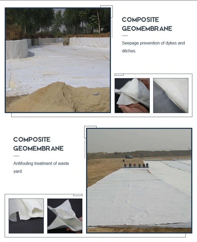 Liner géomembrane composite avec géotextile non tissé pour l'aquaculture 3