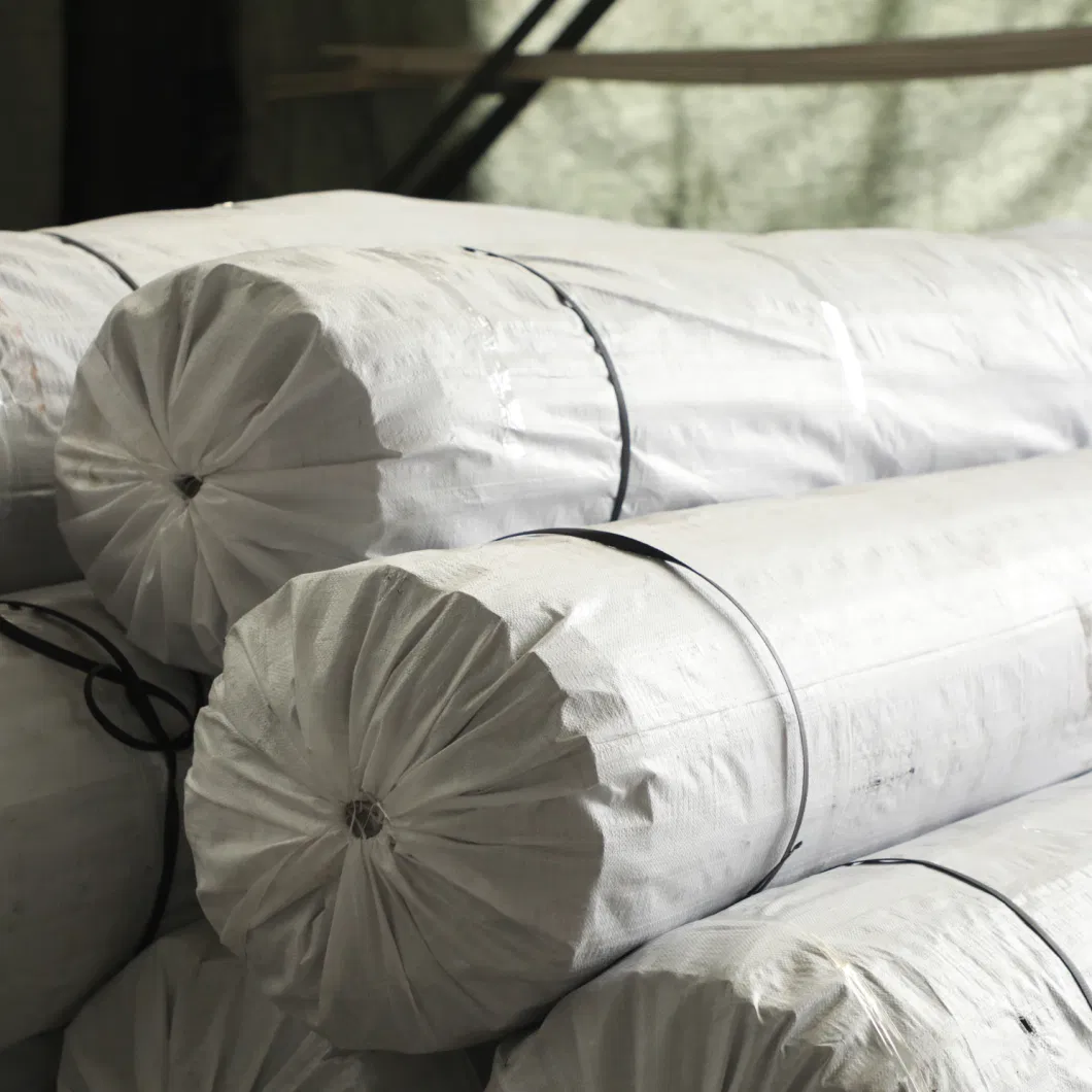 Géogrid composite en fibre de verre biaxial avec géotextile non tissé pour le renforcement du sol/matériau de construction routière 15