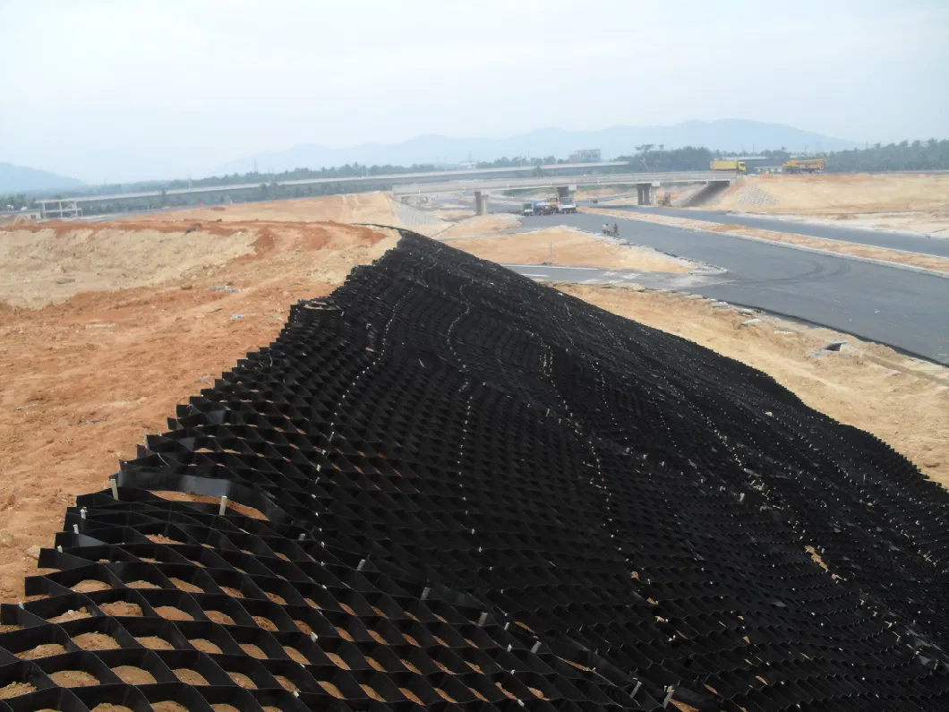 Matériel de réseau de gravier en HDPE pour le système d'allée Geocelle texturée pour le renforcement des routes 13