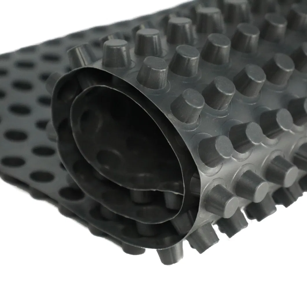 Projet d'écologisation de la membrane de drainage à fosses PVC planche de drainage à fosses perforée 4