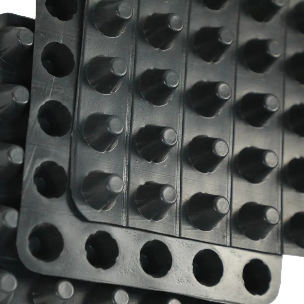 Projet d'écologisation de la membrane de drainage à fosses PVC planche de drainage à fosses perforée 5