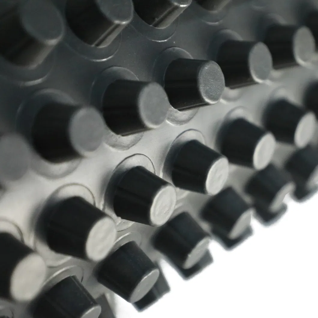 Projet d'écologisation de la membrane de drainage à fosses PVC planche de drainage à fosses perforée 8
