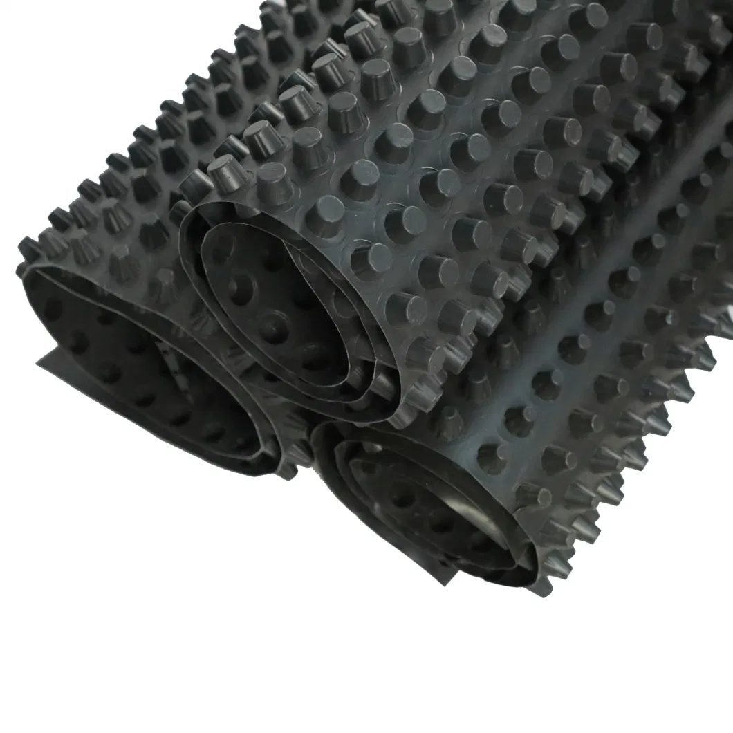 Projet d'écologisation de la membrane de drainage à fosses PVC planche de drainage à fosses perforée 9