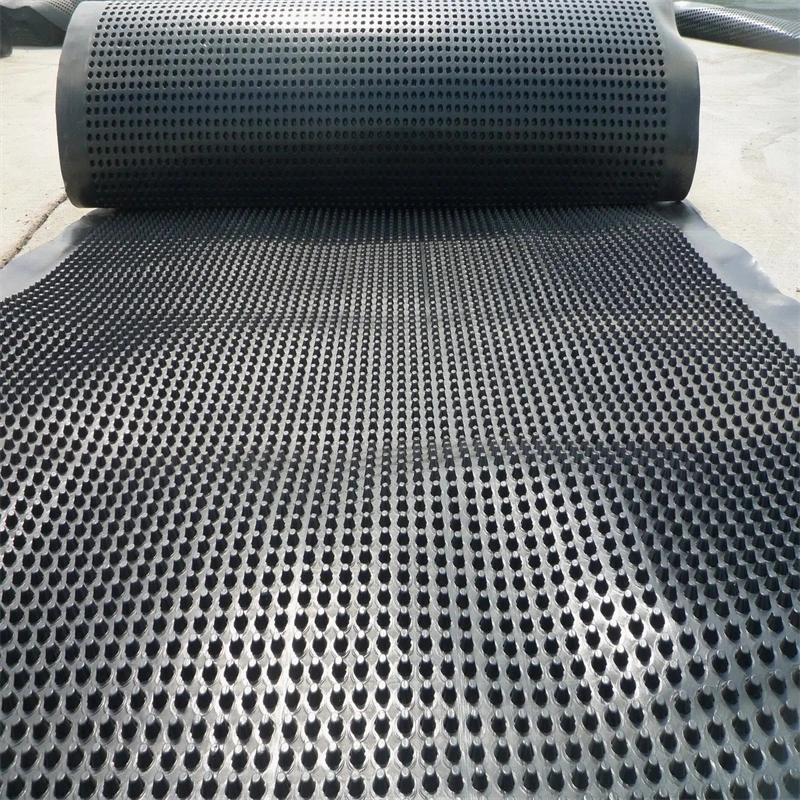 Projet d'écologisation de la membrane de drainage à fosses PVC planche de drainage à fosses perforée 10