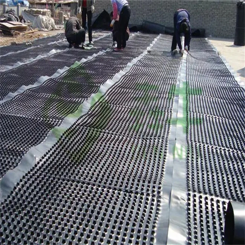 Projet d'écologisation de la membrane de drainage à fosses PVC planche de drainage à fosses perforée 15