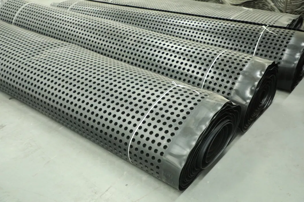 Projet d'écologisation de la membrane de drainage à fosses PVC planche de drainage à fosses perforée 18