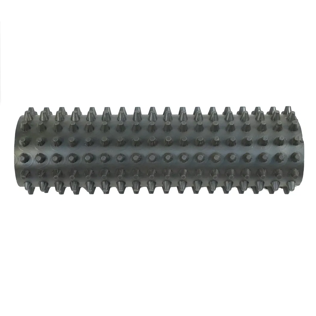 Le plafond, le drainage, la membrane, le drainage, le fossé, le mur et les solutions de drainage 10