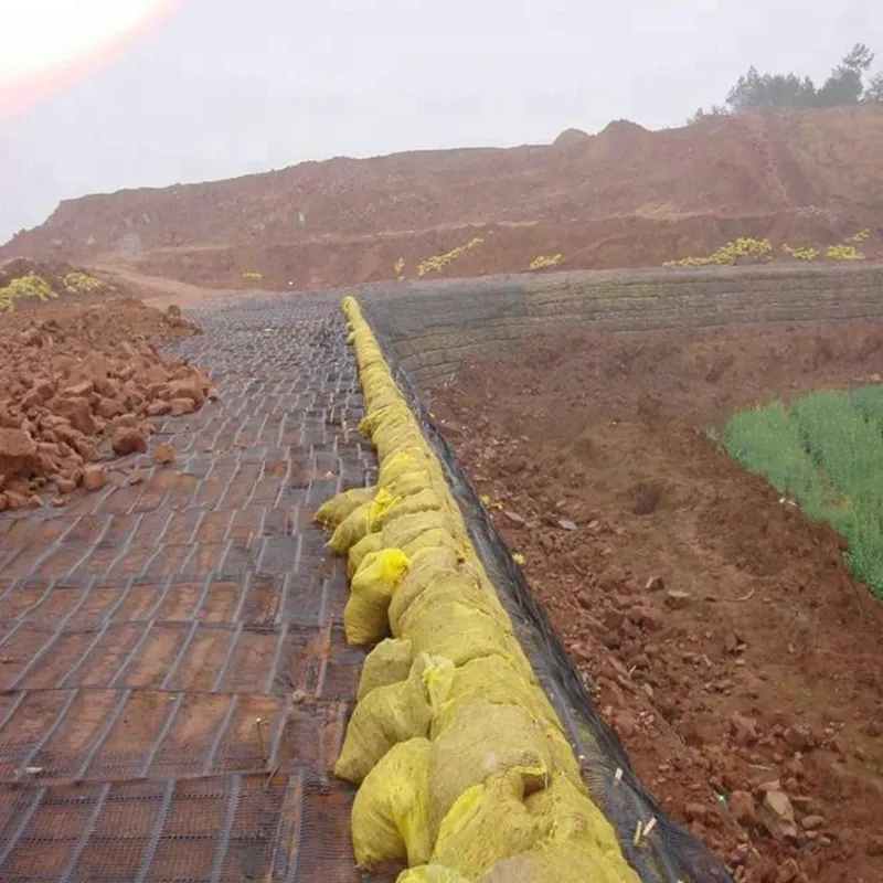Plastique polypropylène PE unidirectionnel uniaxial traction géogrides en plastique pour le renforcement de la chaussée 5