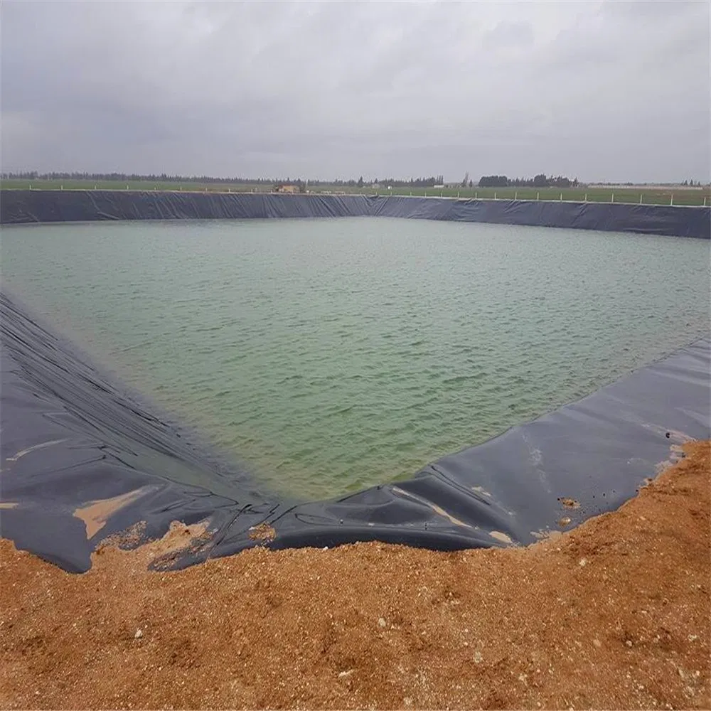 Bâche géomembrane pour étang de pisciculture en polyéthylène extérieur, bâche de confinement en HDPE, grande bâche pour étang, bâche géomembrane imperméable pour étang 2