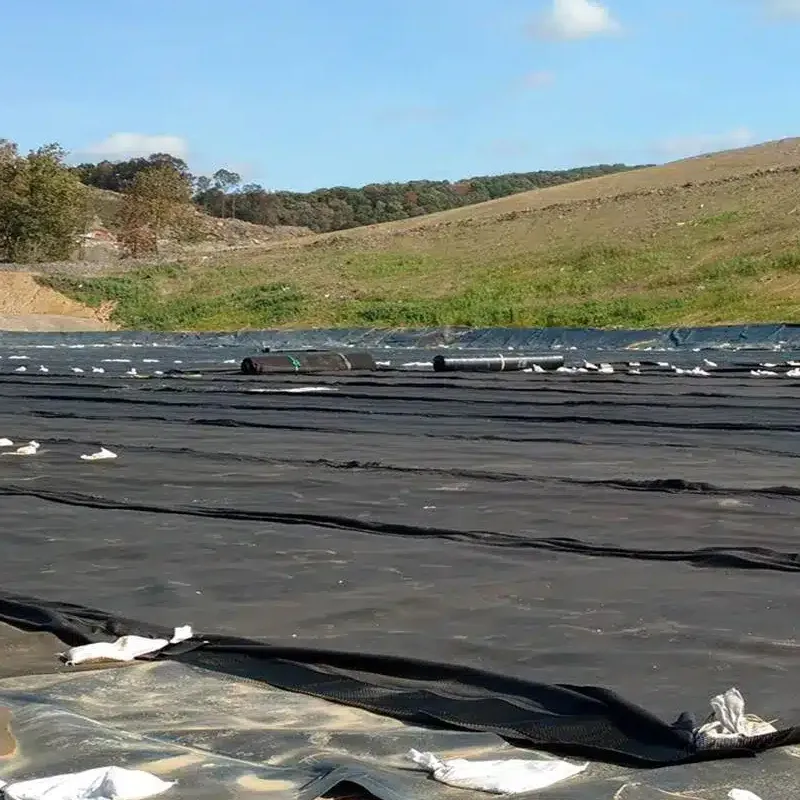 Prix d'usine 100% polyéthylène vierge haute densité géomembrane HDPE imperméable anti-infiltration lisse texturée pour revêtement d'étang de barrage minier de décharge lac d'eau 0