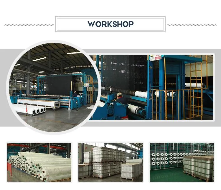 Réseau géographique de bandes géocomposées polymères rentable pour les structures de sol renforcées 4