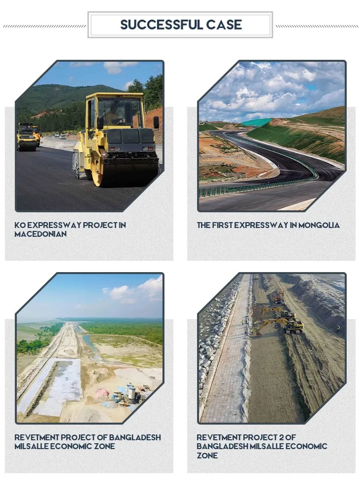 Réseau géographique de bandes géocomposées polymères rentable pour les structures de sol renforcées 5