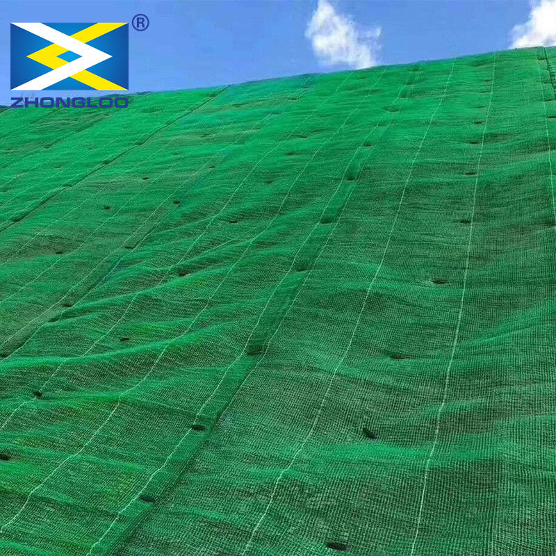 Trois couches de 3D en plastique ont renforcé le drainage Mat For Slope Erosion Control de Geomat