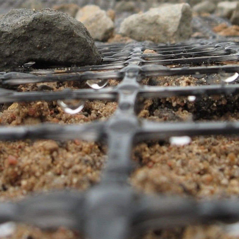 Polyester de haute résistance Geogrid pour les remblais basiques et le renfort de murs de pente de sol