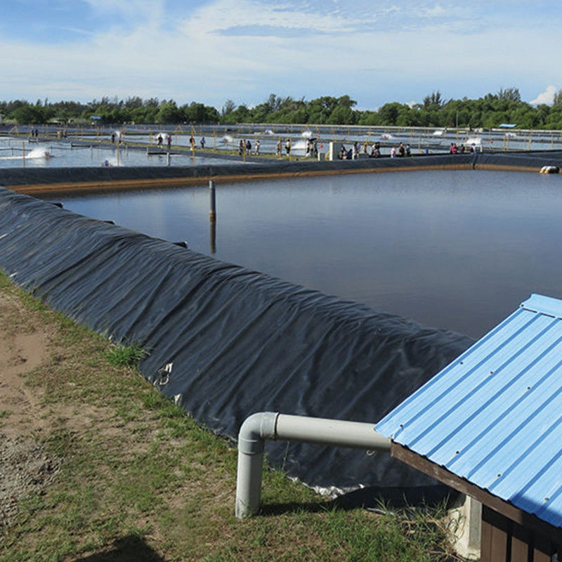 Réservoir hydraulique en PEHD géomembrane pour les réservoirs d'eau