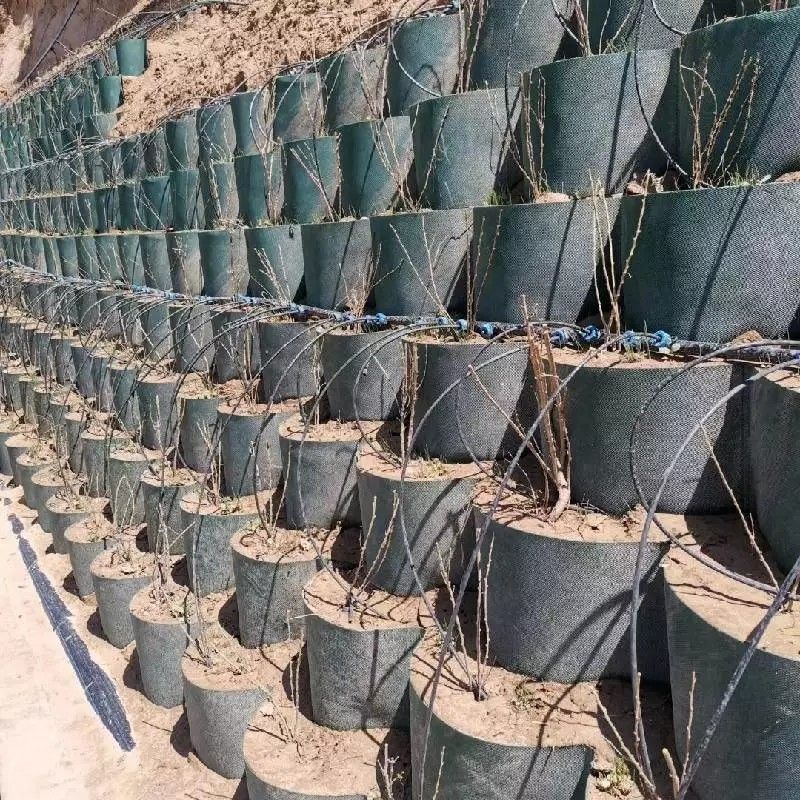 Réseau de terre en géocellule en plastique HDPE résistant à la corrosion utilisé dans la construction routière