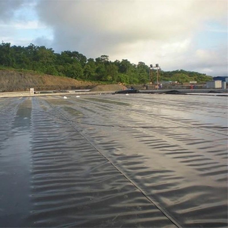 0.5mm 1mm 1.5mm Plastique imperméable à l'eau Aquaculture Géomembrane Hdpe Liner Pêche à la ferme en gros Géomembrane Liner d'étang