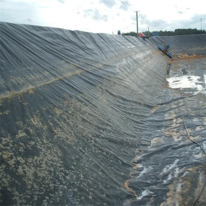 0.5mm 1mm 1.5mm Plastique imperméable à l'eau Aquaculture Géomembrane Hdpe Liner Pêche à la ferme en gros Géomembrane Liner d'étang