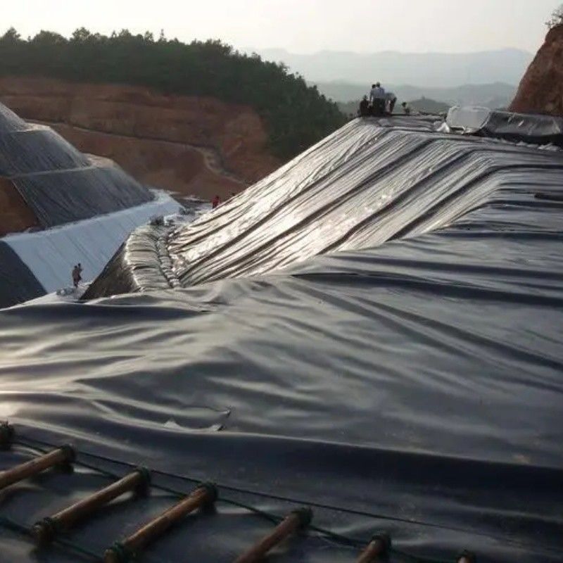0.5mm 1mm 1.5mm Plastique imperméable à l'eau Aquaculture Géomembrane Hdpe Liner Pêche à la ferme en gros Géomembrane Liner d'étang
