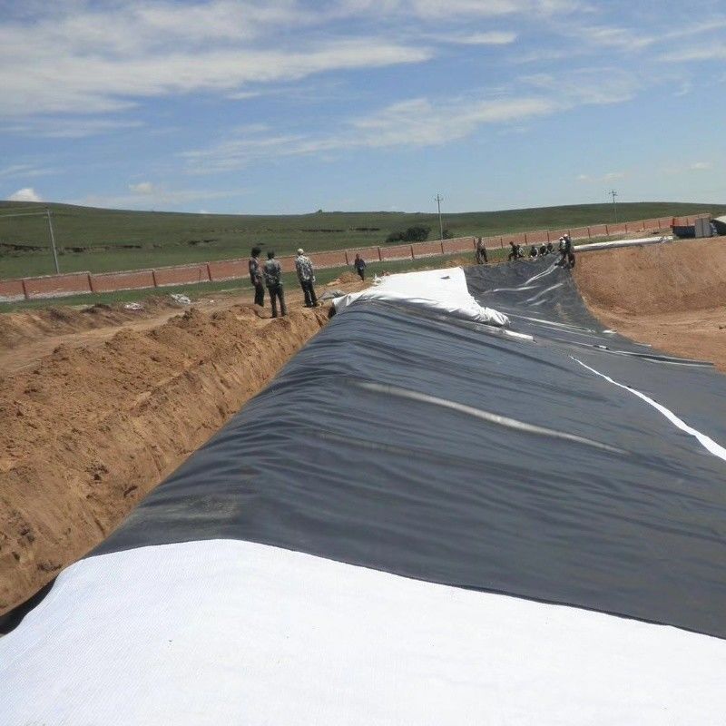 0.5mm 1mm 1.5mm Plastique imperméable à l'eau Aquaculture Géomembrane Hdpe Liner Pêche à la ferme en gros Géomembrane Liner d'étang
