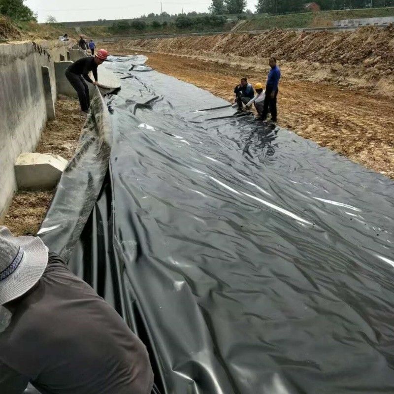 0.5mm 1mm 1.5mm Plastique imperméable à l'eau Aquaculture Géomembrane Hdpe Liner Pêche à la ferme en gros Géomembrane Liner d'étang