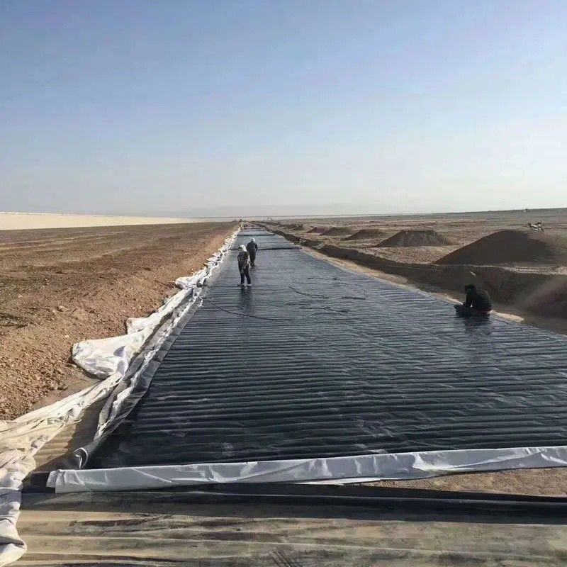 0.5mm 1mm 1.5mm Plastique imperméable à l'eau Aquaculture Géomembrane Hdpe Liner Pêche à la ferme en gros Géomembrane Liner d'étang
