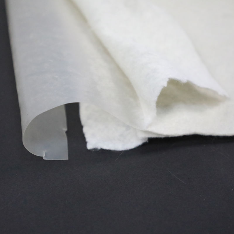 Deux couches et une pellicule réservoir contrôle des fuites géomembrane composite dans le traitement des décharges