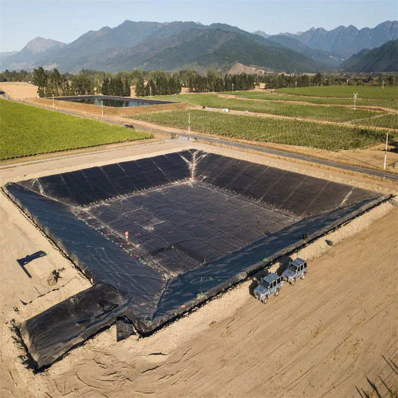 Liner en polyéthylène haute définition HDPE Style de conception industrielle pour les étangs d'élevage de poissons et de crevettes