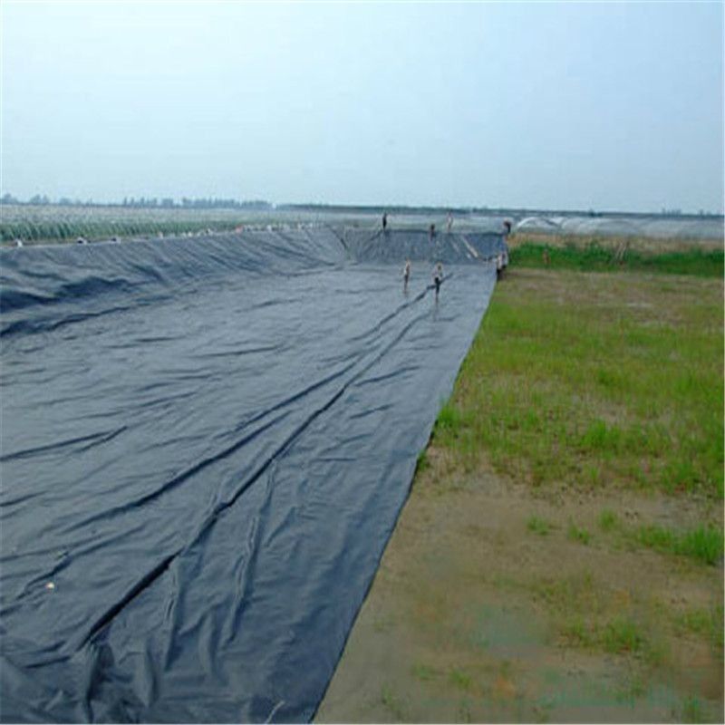 Liner en polyéthylène haute définition HDPE Style de conception industrielle pour les étangs d'élevage de poissons et de crevettes