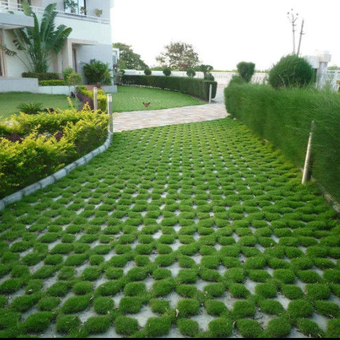Réseau d'herbe en plastique en plastique pour le stationnement Sortie du feu HDPE Pavées Géogrides pour le paysage Terrain Géocelle Gravier Paddock Réseau