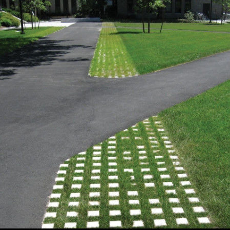 Réseau d'herbe en plastique en plastique pour le stationnement Sortie du feu HDPE Pavées Géogrides pour le paysage Terrain Géocelle Gravier Paddock Réseau