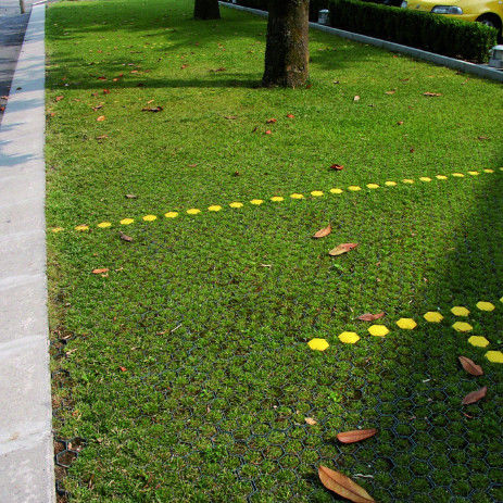 Réseau d'herbe en plastique en plastique pour le stationnement Sortie du feu HDPE Pavées Géogrides pour le paysage Terrain Géocelle Gravier Paddock Réseau