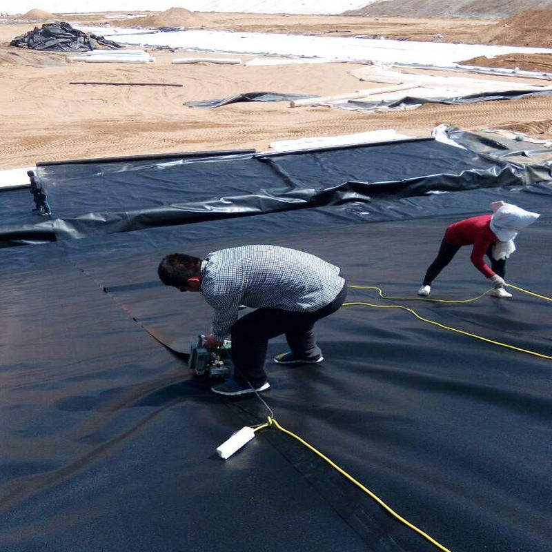 L'étagère de la géomembrane 0,5 mm 1 mm 1,5 mm 2 mm HDPE LDPE Lldpe PVC EVA L'étagère de la géomembrane