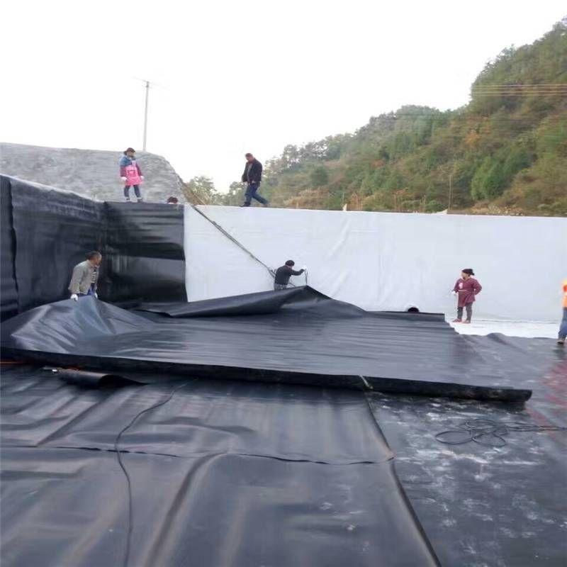 L'étagère de la géomembrane 0,5 mm 1 mm 1,5 mm 2 mm HDPE LDPE Lldpe PVC EVA L'étagère de la géomembrane